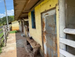 SÍTIO  DE 4 HECTARES- LOCALIZADO PRÓXIMO Á  BR-262 - APENAS 18 KM DO TREVO DE PARÁ DE MINAS.