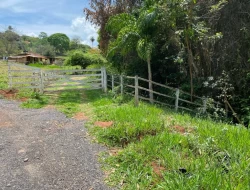 SÍTIO  DE 4 HECTARES- LOCALIZADO PRÓXIMO Á  BR-262 - APENAS 18 KM DO TREVO DE PARÁ DE MINAS.