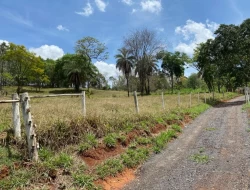 SÍTIO  DE 4 HECTARES- LOCALIZADO PRÓXIMO Á  BR-262 - APENAS 18 KM DO TREVO DE PARÁ DE MINAS.
