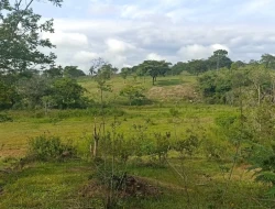 FAZENDA ENTRE PEQUI E MARAVILHAS
