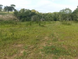 FAZENDA ENTRE PEQUI E MARAVILHAS