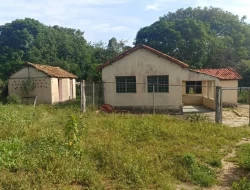 FAZENDA ENTRE PEQUI E MARAVILHAS