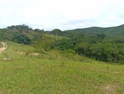 FAZENDA ENTRE PEQUI E MARAVILHAS