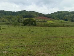 FAZENDA ENTRE PEQUI E MARAVILHAS