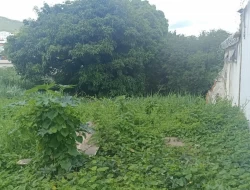 LOTE PRÓXIMO AO CENTRO/ PARÁ DE MINAS / FAZ FUNDOS COM AV. MELO CANÇADO