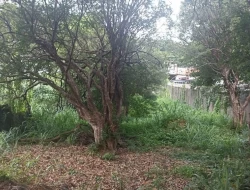 LOTE PRÓXIMO AO CENTRO/ PARÁ DE MINAS / FAZ FUNDOS COM AV. MELO CANÇADO