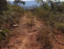SÍTIO EM SERRA DOS FERREIRAS / ONÇA DO PITANGUI