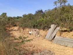 SÍTIO EM SERRA DOS FERREIRAS / ONÇA DO PITANGUI