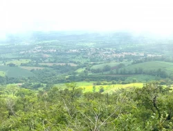 FAZENDA EM PEQUI COM 375 HECTARES