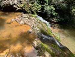 FAZENDA EM PEQUI COM 375 HECTARES