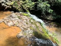 FAZENDA EM PEQUI COM 375 HECTARES