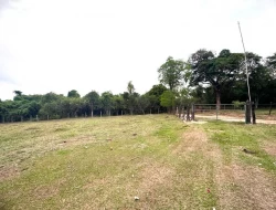 SÍTIO A 5 KM DE IGARATINGA