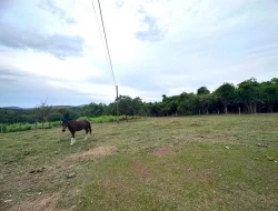 SÍTIO A 5 KM DE IGARATINGA