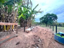 SÍTIO A 5 KM DE IGARATINGA