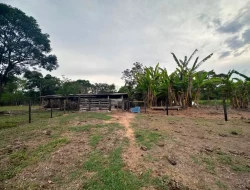 SÍTIO A 5 KM DE IGARATINGA