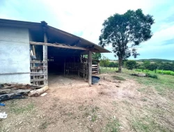 SÍTIO A 5 KM DE IGARATINGA