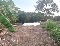 SÍTIO A 5 KM DE IGARATINGA