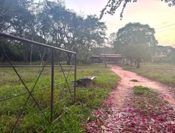 SÍTIO A 5 KM DE IGARATINGA