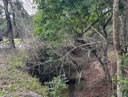 SÍTIO A 5 KM DE IGARATINGA