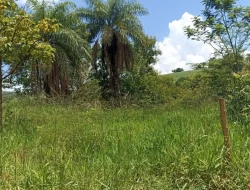 FAZENDA PRÓXIMA PEQUI