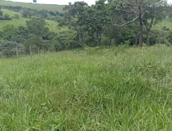 FAZENDA PRÓXIMA PEQUI