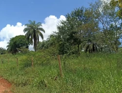 FAZENDA PRÓXIMA PEQUI