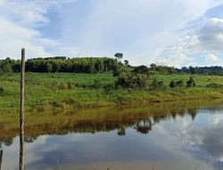 FAZENDA  EM PAIVAS / PARÁ DE MINAS