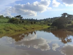 FAZENDA  EM PAIVAS / PARÁ DE MINAS