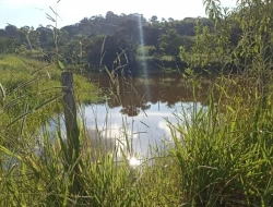 FAZENDA  EM PAIVAS / PARÁ DE MINAS