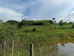 FAZENDA  EM PAIVAS / PARÁ DE MINAS