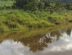 FAZENDA  EM PAIVAS / PARÁ DE MINAS