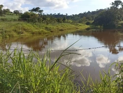 FAZENDA  EM PAIVAS / PARÁ DE MINAS