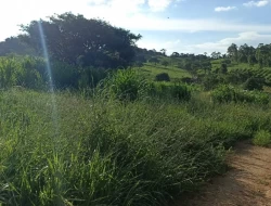 FAZENDA  EM PAIVAS / PARÁ DE MINAS