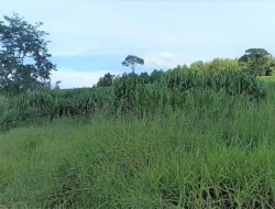 FAZENDA  EM PAIVAS / PARÁ DE MINAS