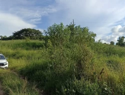FAZENDA  EM PAIVAS / PARÁ DE MINAS