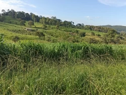 FAZENDA  EM PAIVAS / PARÁ DE MINAS