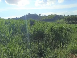FAZENDA  EM PAIVAS / PARÁ DE MINAS