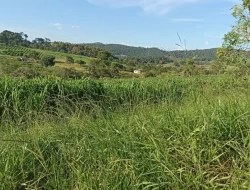 FAZENDA  EM PAIVAS / PARÁ DE MINAS