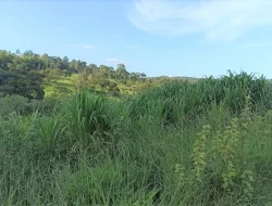 FAZENDA  EM PAIVAS / PARÁ DE MINAS
