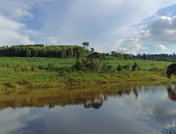 SÍTIO 9,07 HECTARES/ PAIVAS