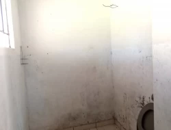 SÍTIO EM BOM SUCESSO/ PARÁ DE MINAS COM CASA LAGOA E 2 NASCENTES