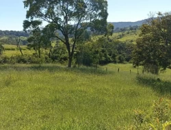 SÍTIO EM BOM SUCESSO/ PARÁ DE MINAS COM CASA LAGOA E 2 NASCENTES