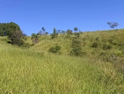 SÍTIO EM BOM SUCESSO/ PARÁ DE MINAS COM CASA LAGOA E 2 NASCENTES