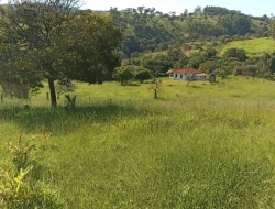 SÍTIO EM BOM SUCESSO/ PARÁ DE MINAS COM CASA LAGOA E 2 NASCENTES