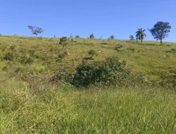 SÍTIO EM BOM SUCESSO/ PARÁ DE MINAS COM CASA LAGOA E 2 NASCENTES