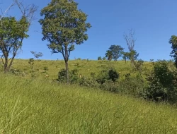 SÍTIO EM BOM SUCESSO/ PARÁ DE MINAS COM CASA LAGOA E 2 NASCENTES