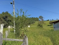 SÍTIO EM BOM SUCESSO/ PARÁ DE MINAS COM CASA LAGOA E 2 NASCENTES