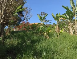 SÍTIO EM BOM SUCESSO/ PARÁ DE MINAS COM CASA LAGOA E 2 NASCENTES