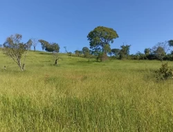 SÍTIO EM BOM SUCESSO/ PARÁ DE MINAS COM CASA LAGOA E 2 NASCENTES