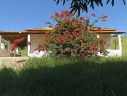 SÍTIO EM BOM SUCESSO/ PARÁ DE MINAS COM CASA LAGOA E 2 NASCENTES